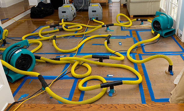Professional Flood Damage Restoration technician working in Millwood, WA
